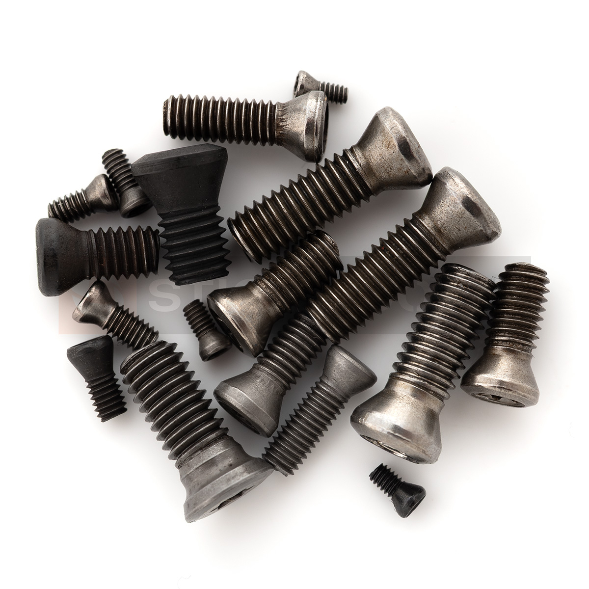 TORX Screws